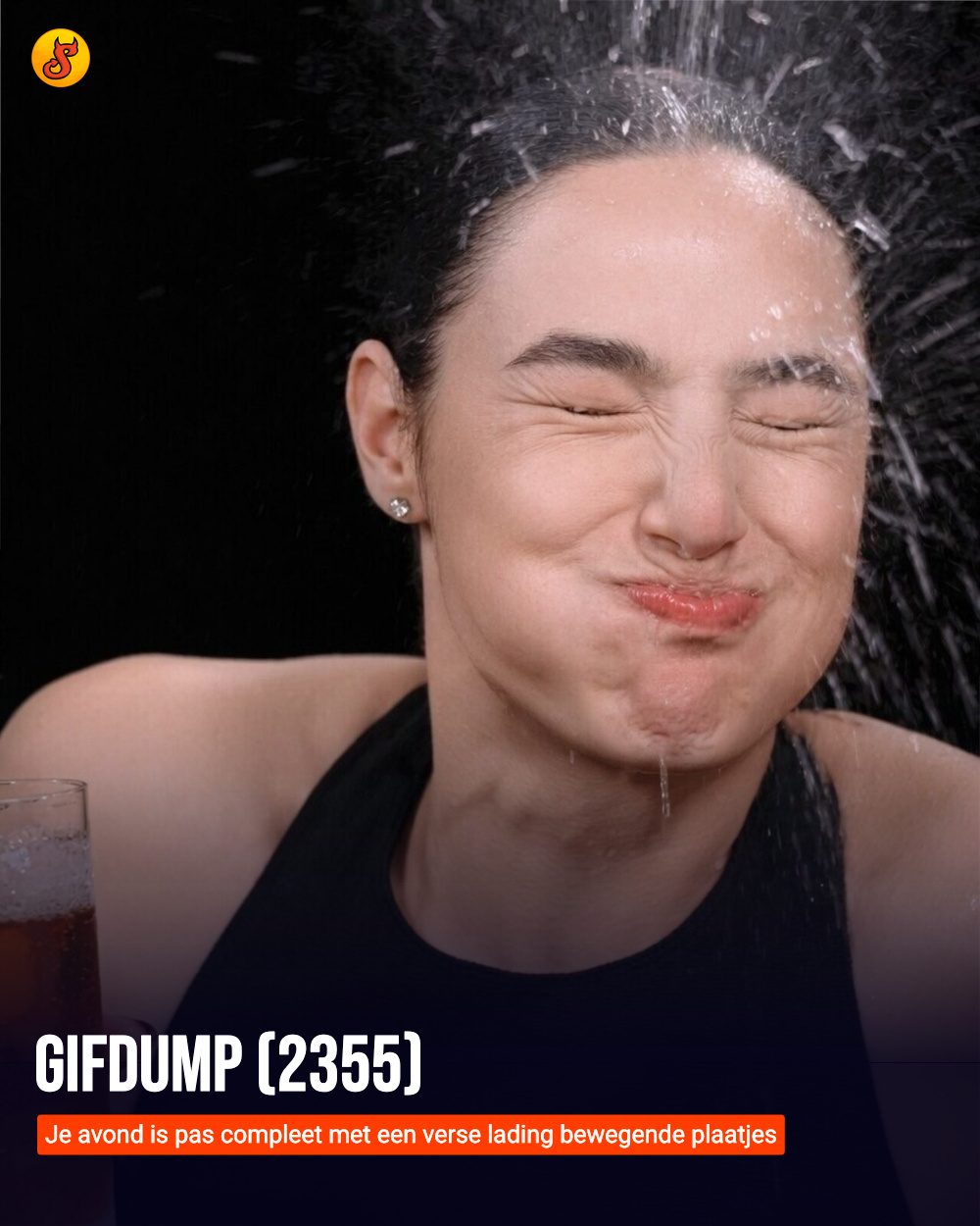 Gifdump (2355)