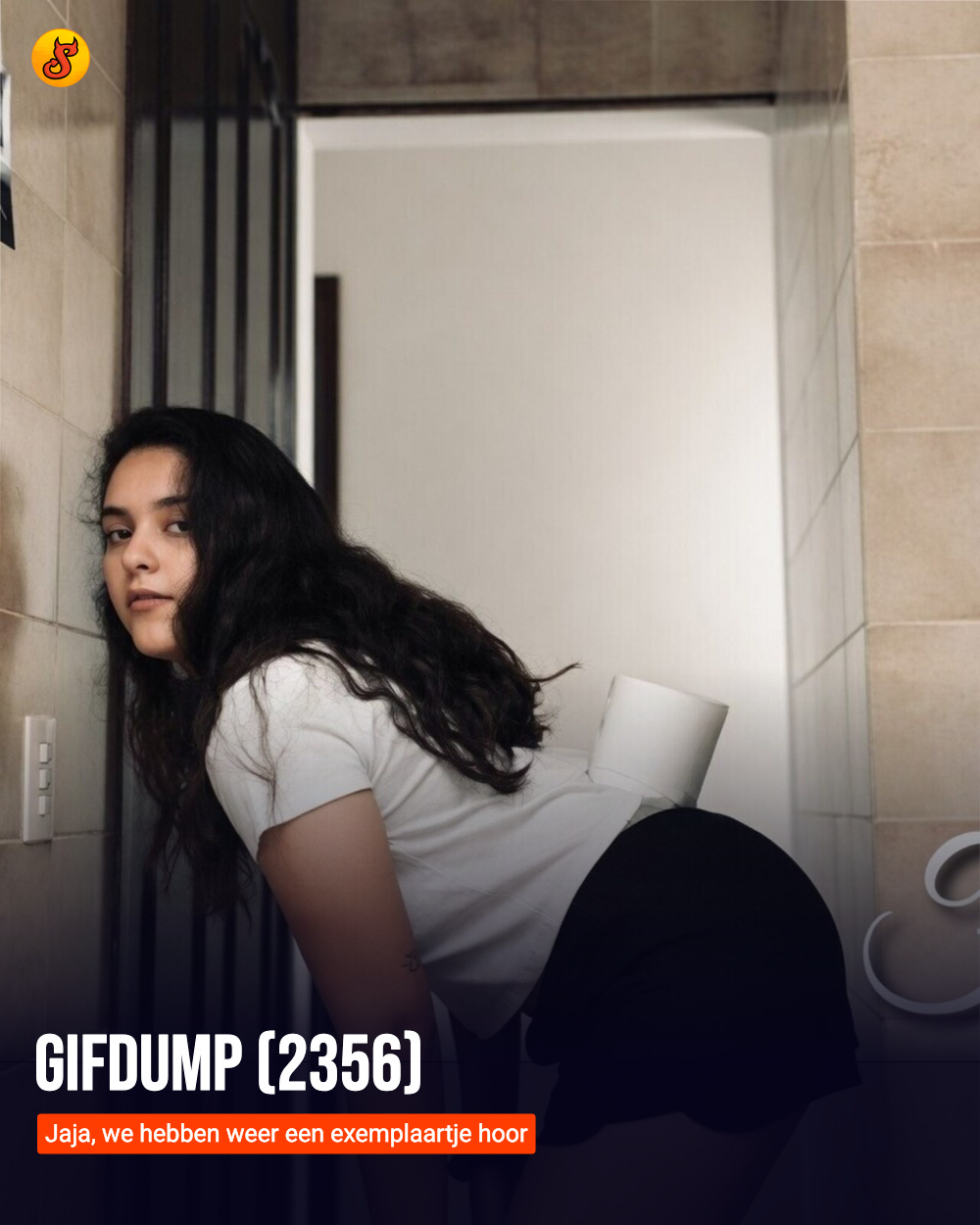 Gifdump (2356)