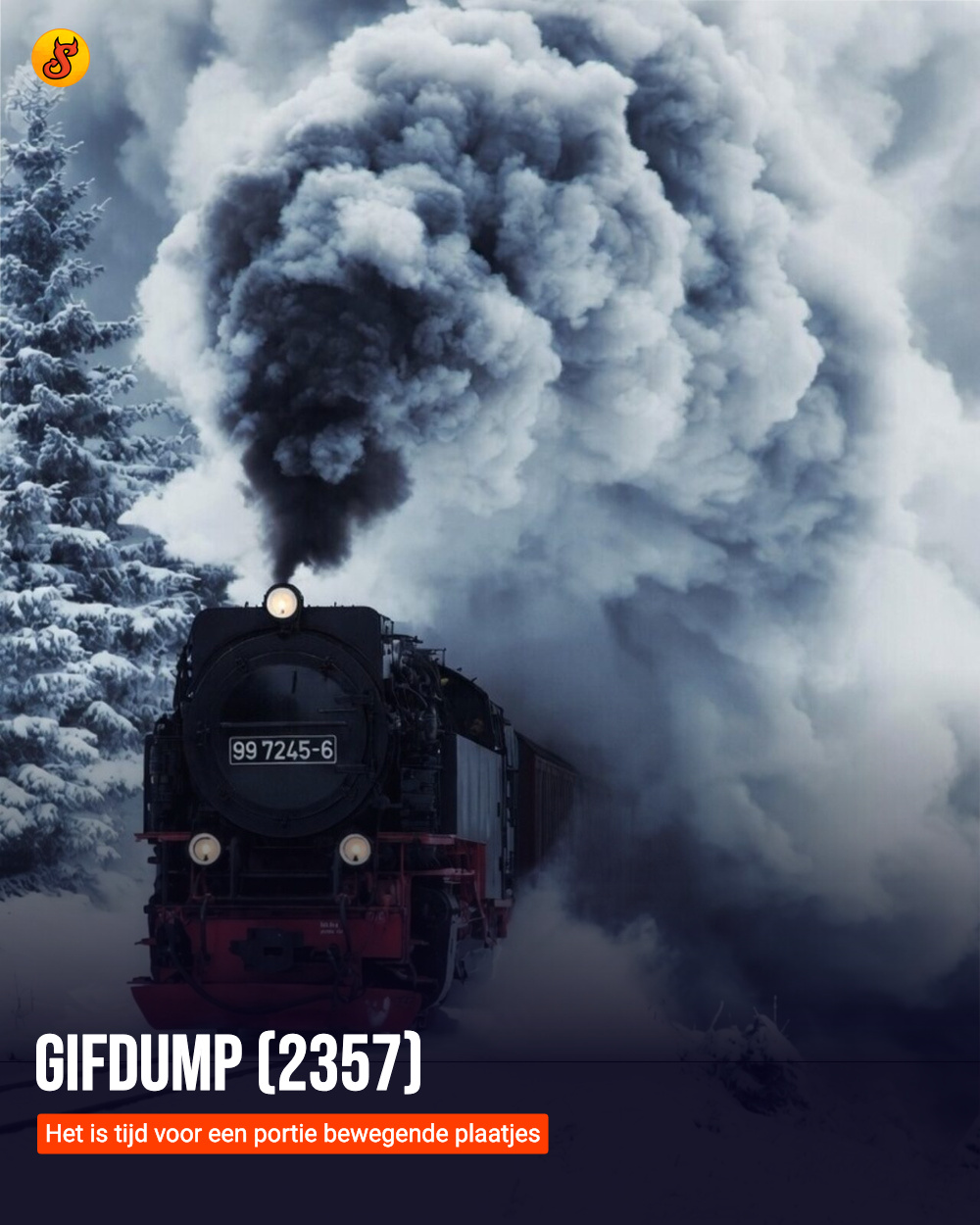 Gifdump (2357)