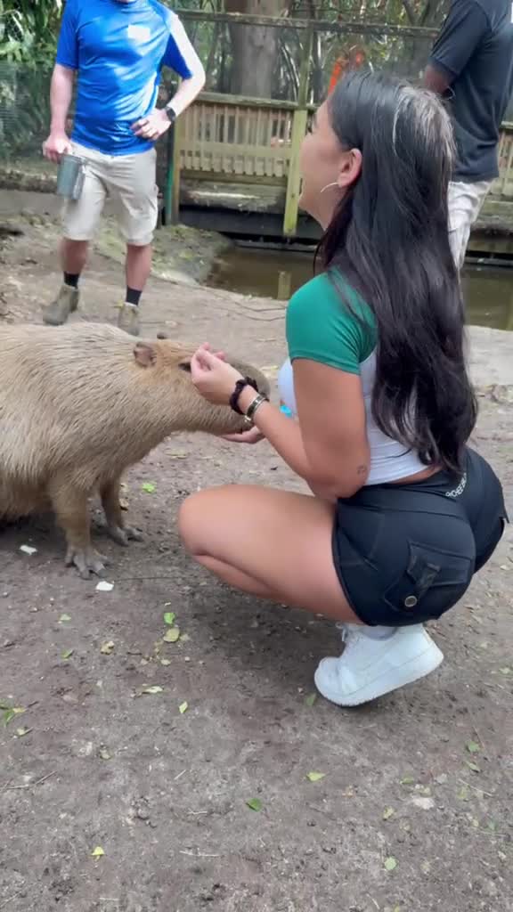 Als je goed oplet zie je een capibara