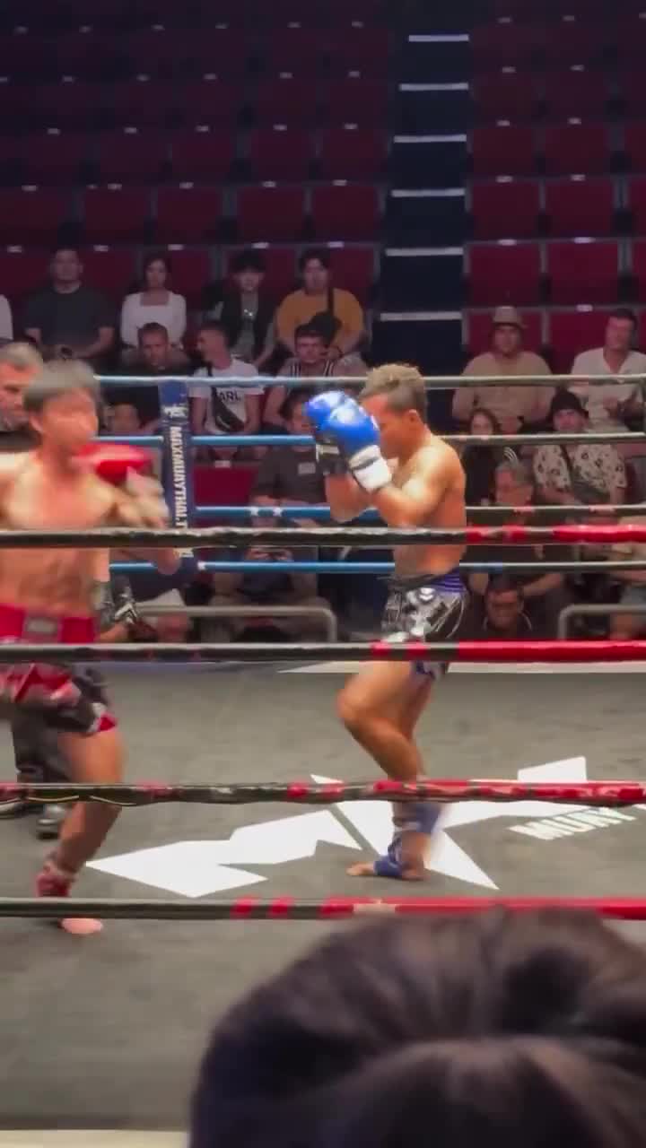 De hardste knock-out die je vandaag zult zien
