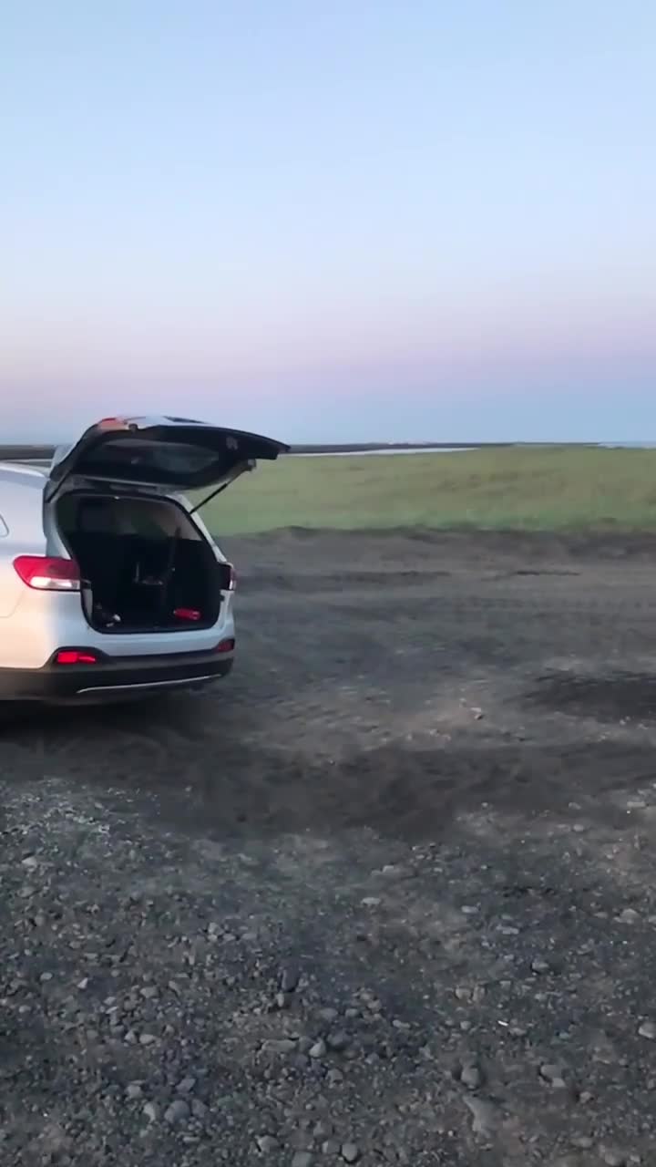 Elegant je auto instappen voor professionals