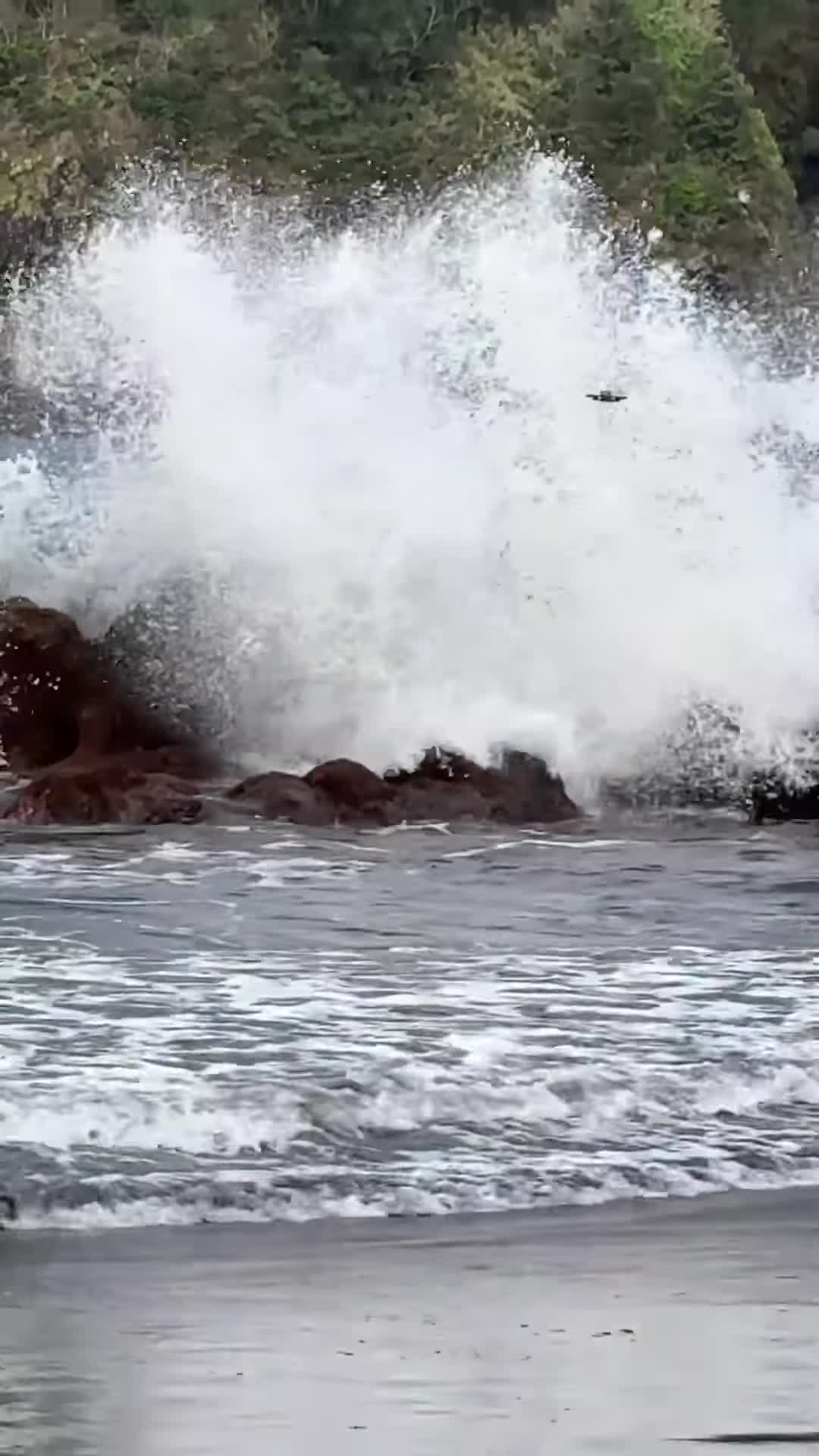 Oops, dat mooie vakantiekiekje maken valt in het water