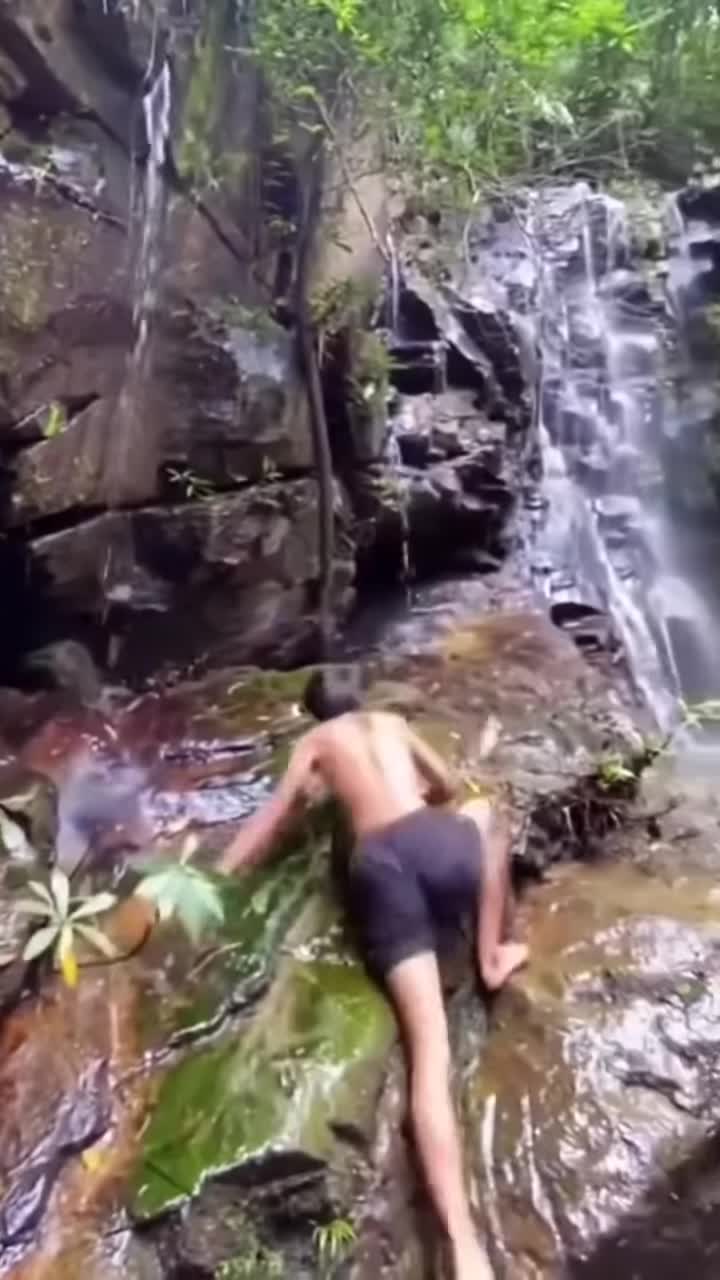 Even een mooi natuurfilmpje schieten