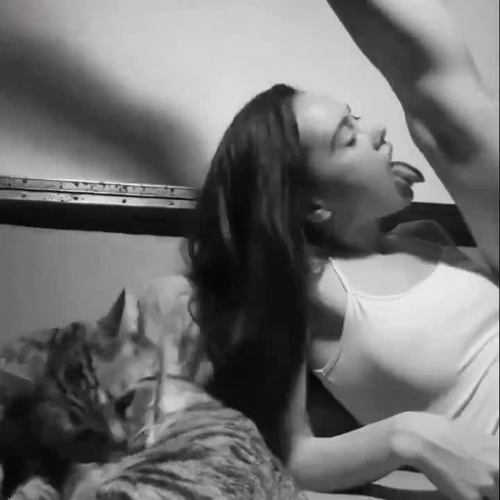 Kattenvrouwtje heeft haar dolle vijf minuten