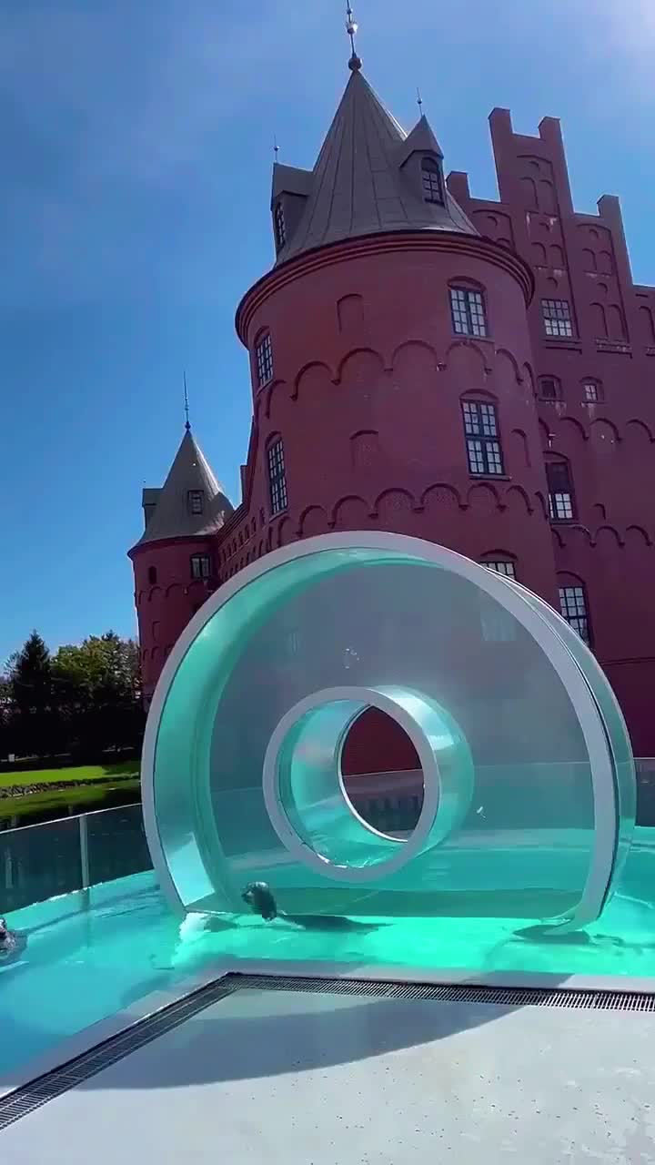 Zeehond geniet van zijn eigen donut