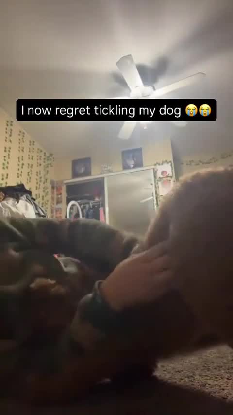 Lekker stoeien met hond
