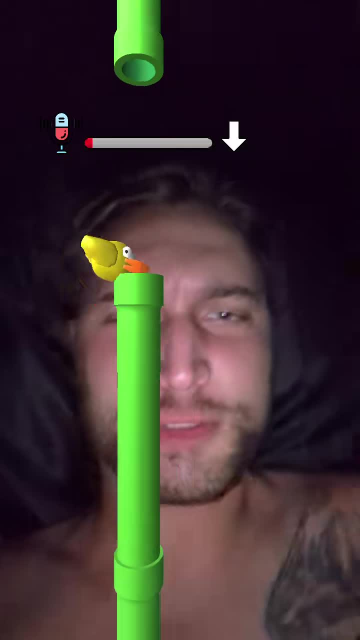 Nieuw spel: Fappy Bird
