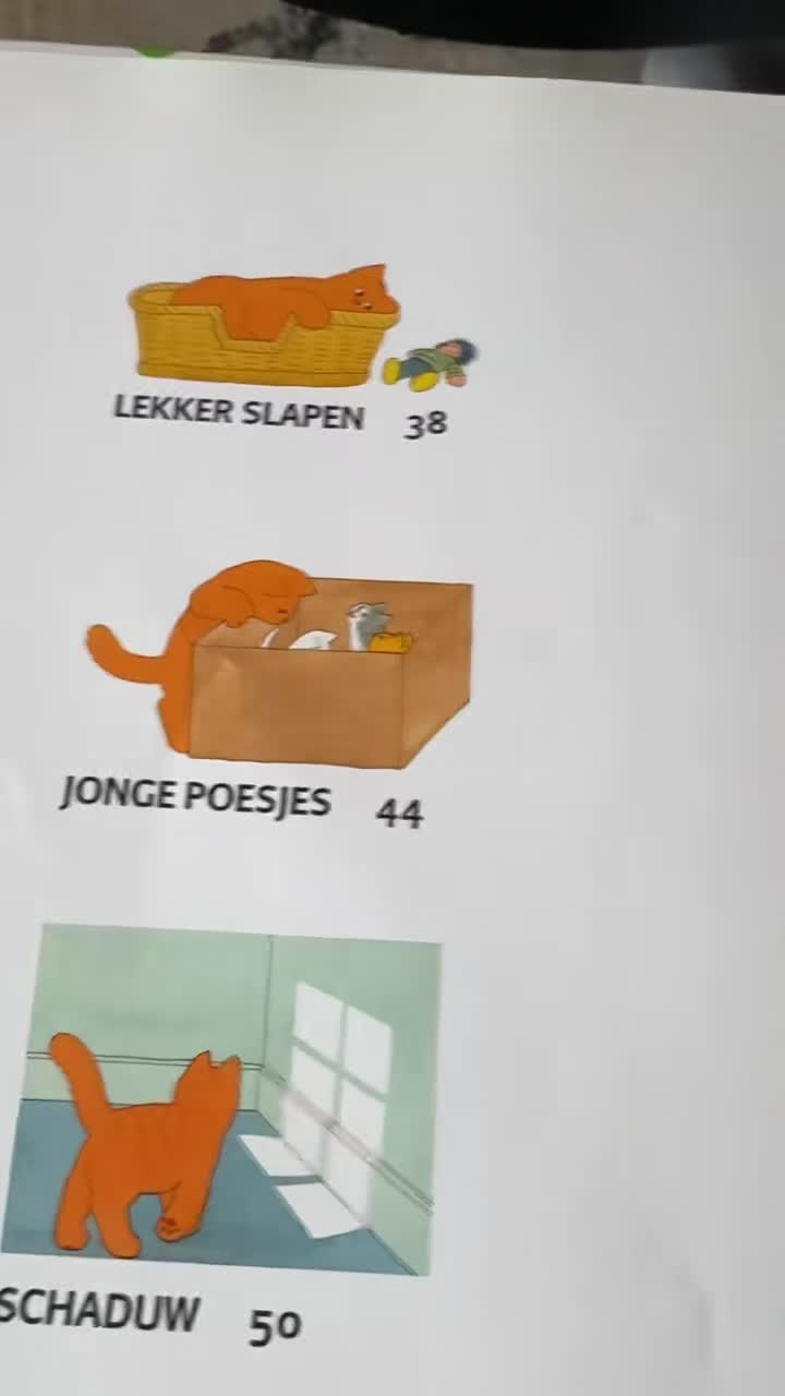 Papa houdt van jonge poesjes