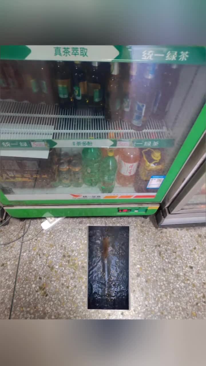 Best effectief tegen een muizenplaag