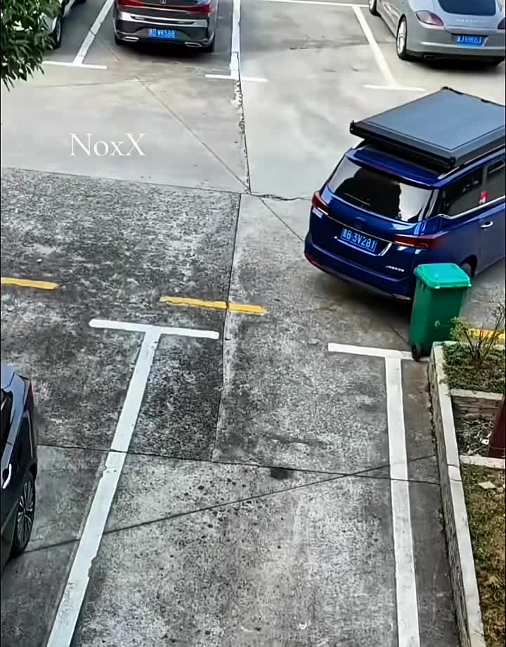 Parkeerkneus vs container
