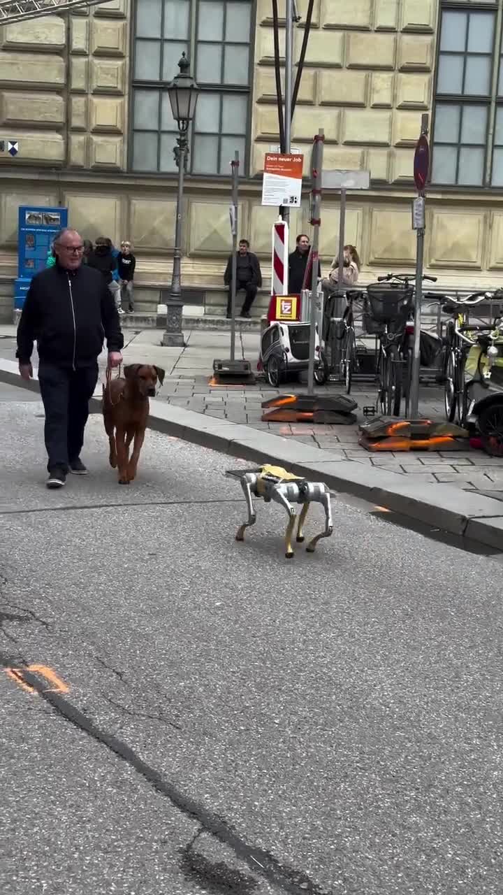 Hond ontdekt robothond in München