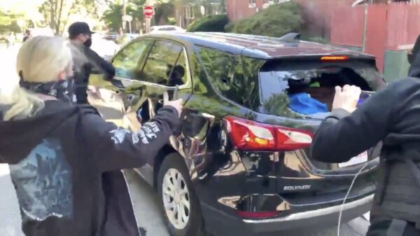 Idioten van Antifa vallen een man en zijn hond aan in Philadelphia