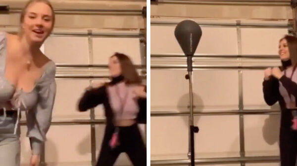 Pas op met boksballen: soms slaan ze terug