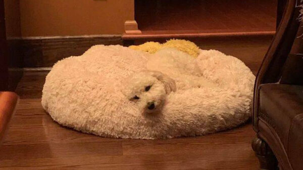 Gewoon even wat lekkere perfectie voor je maandagavond