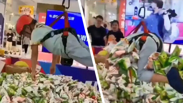 Koter gaat voortaan door het leven als een grijpautomaat