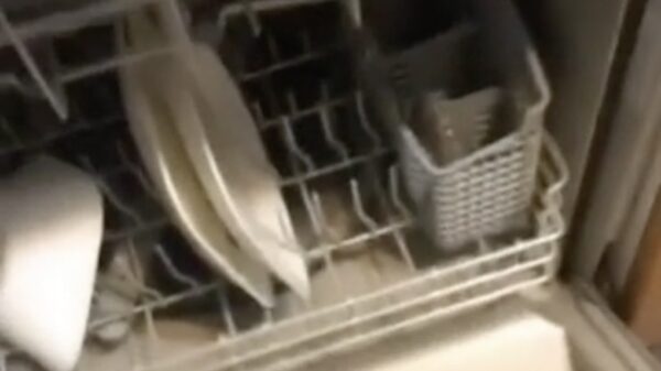 Dit is de stilste vaatwasser te wereld!