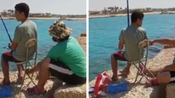 Je vissende kameraad trollen blijft heerlijk om te doen