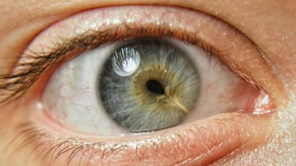 Een verzameling zeldzame en opmerkelijke lichaamsaandoeningen