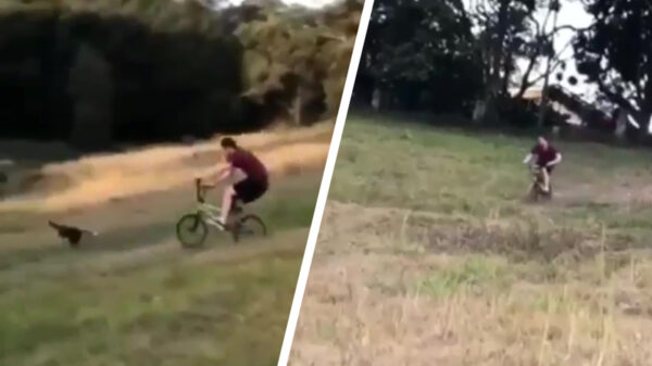 Keihard de berg af joekelen is niet voor iedereen weggelegd