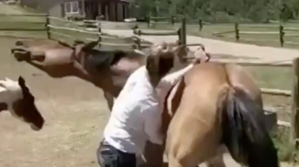 Kun je ff op dat ene plek krabben?