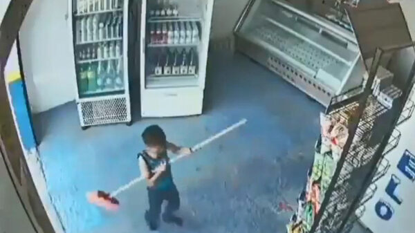 Deze kleine poetshulp heeft nog eens plezier in het werk