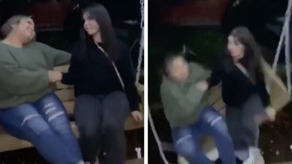 Schommelbank bezwijkt onder het gewicht van twee tortelduifjes