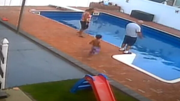 Koter heeft duidelijk een hekel aan zijn opa