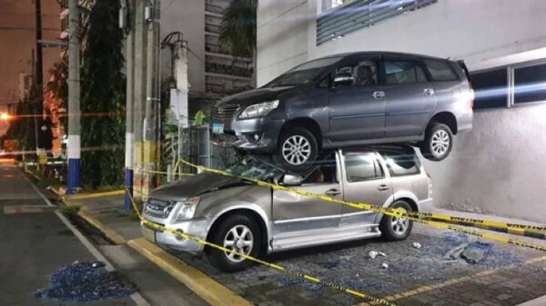 Deze 25 mafkezen hebben hun rijbewijs waarschijnlijk bij een pak koekjes gekregen