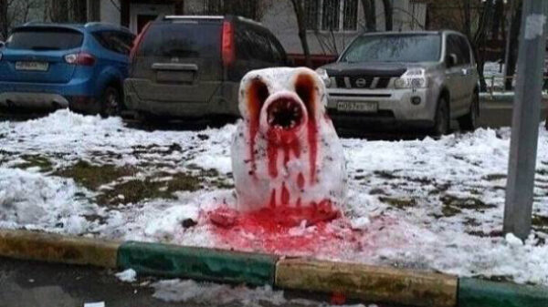 Gewoon een hele verzameling onprettige pics en gifs