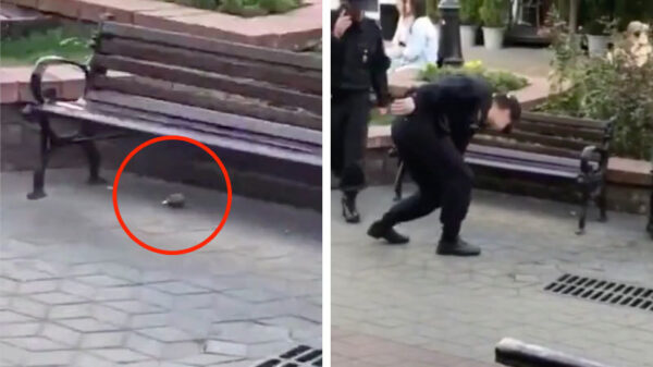 Professionele Russische agenten weten wel raad met zwerfafval