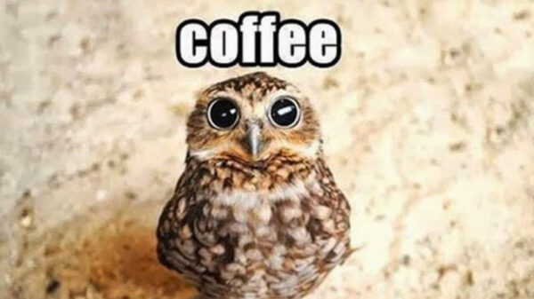 De allerlekkerste koffiememes op een rijtje omdat het vandaag Wereld Koffiedag is