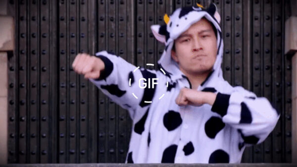 De stuiterende Breek de Week gifdump (8)