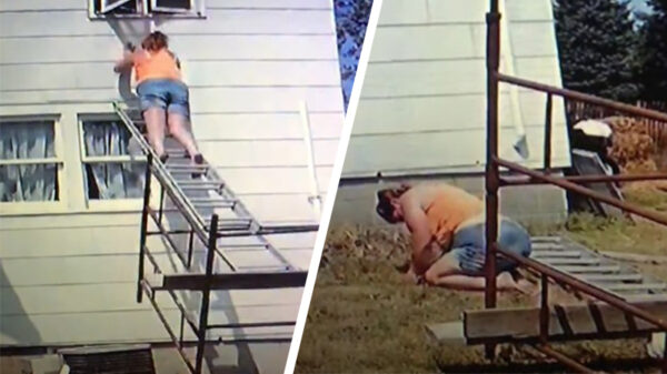 Klusser staat een beetje wankel op d'r benen nadat ze van de ladder is gevallen