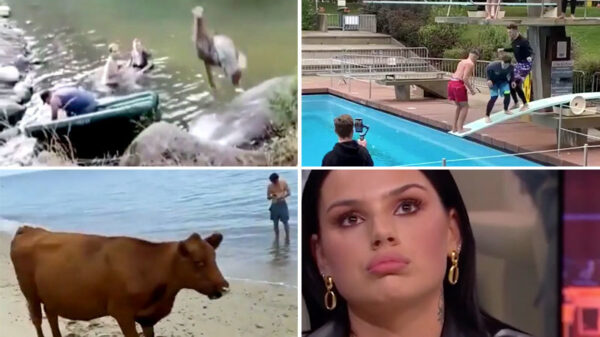 De 10 best scorende Instagramvideo's van de maand september