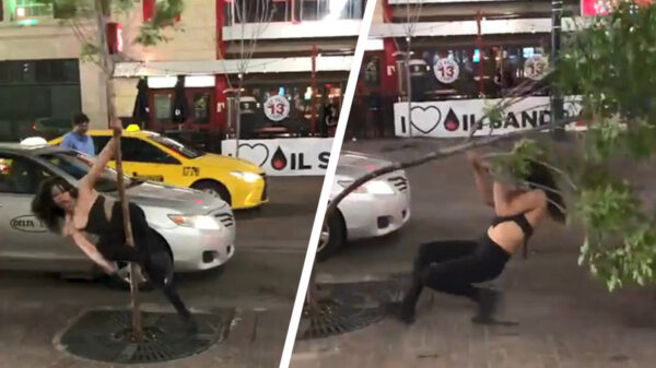 Hovenier onder invloed is wat eerder begonnen met de VrijMiBo