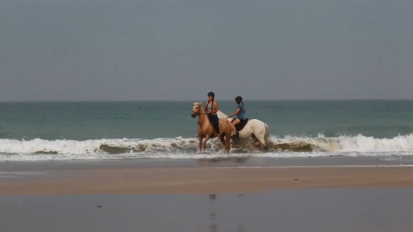 Gezellig op het paard een dagje strand pakken