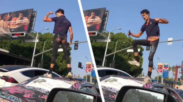 Gekkie zorgt voor het entertainment bij een rood verkeerslicht