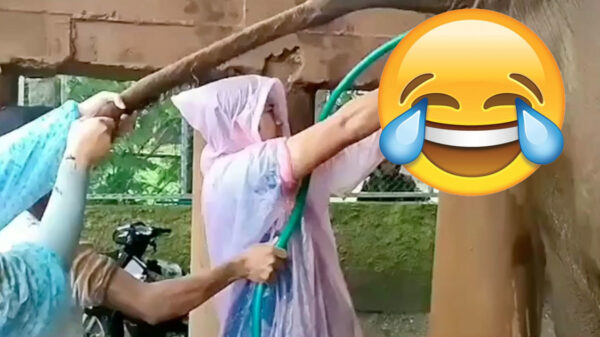 Professioneel ontstoppingsteam krijgt de volle lading