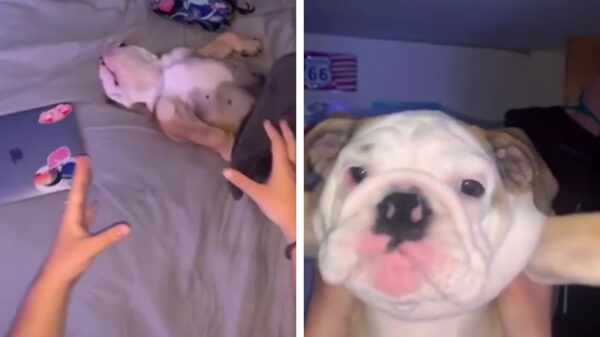 Opstaan makker, tijd om naar school te gaan