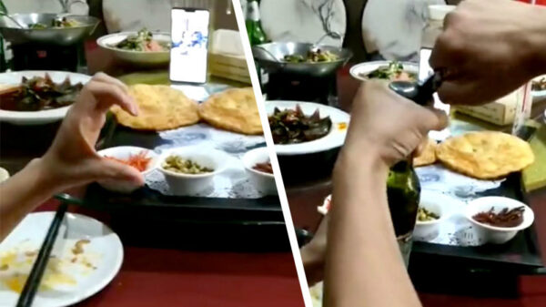 Niet zo zoetsappig doen hè, het is zaterdagavond trut!