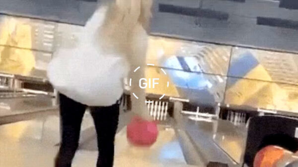 Gifdump: wat is hier in godsnaam aan de hand?