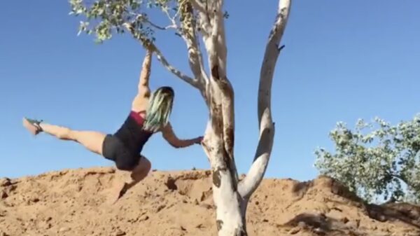 Alle fails van week 40 op een rij