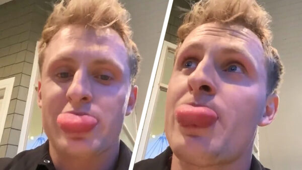 Tip van de dag: kauw NOOIT op een bij