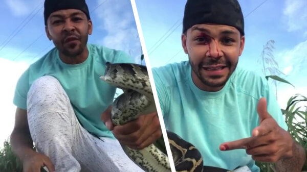 Nee vriend, je bent nog lang geen Steve Irwin