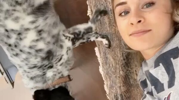 Het baasje op een klein toetje trakteren