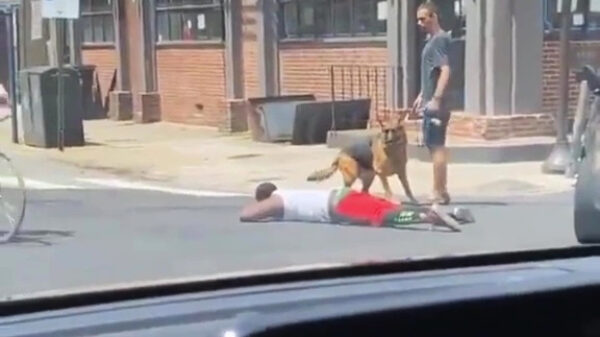 Protip: niet elke man met een hond is een agent