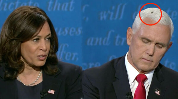 Vlieg op hoofd van Mike Pence was hoogtepunt van de avond