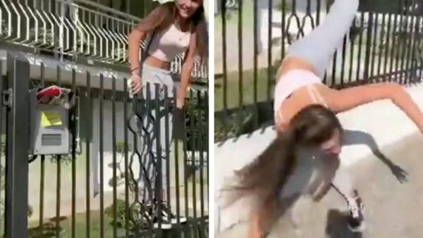 "Wedden dat jij niet over dit hek kan klimmen?"