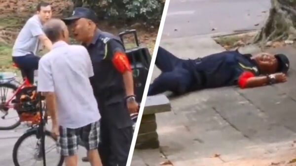 Bejaarde kemphanen hebben heftig gevecht waarbij rake klappen vallen!